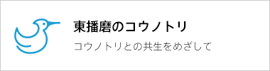 東播磨のコウノトリ