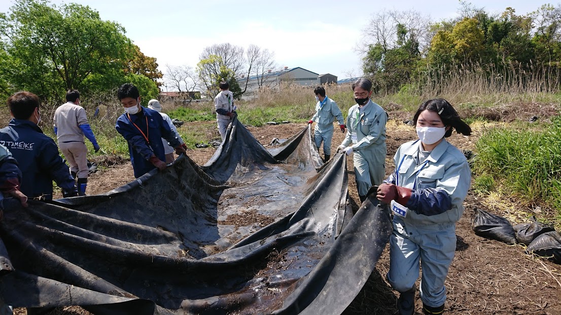 令和３年度　新仏池(しんぶついけ)ナガエツルノゲイトウ駆除作業４月15日(木)