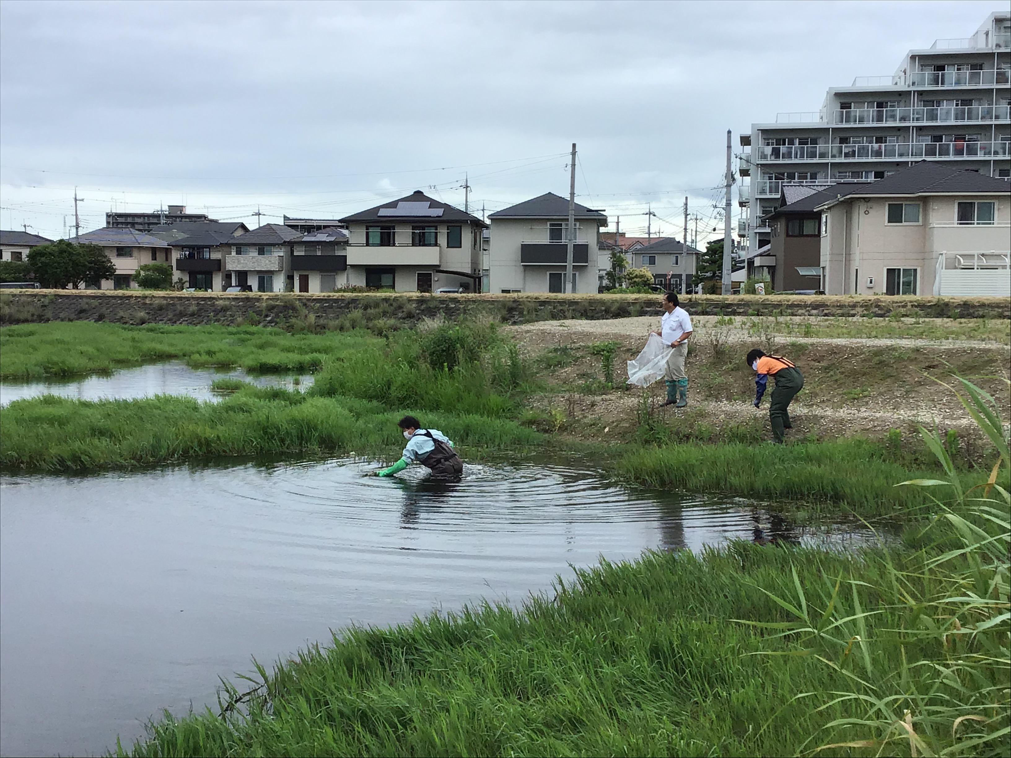 「たんけんたい～大久保の自然を見つけよう～」大久保南小学校(３年生)環境学習