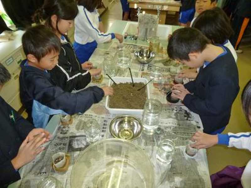 谷八木小学校アマモ種植え