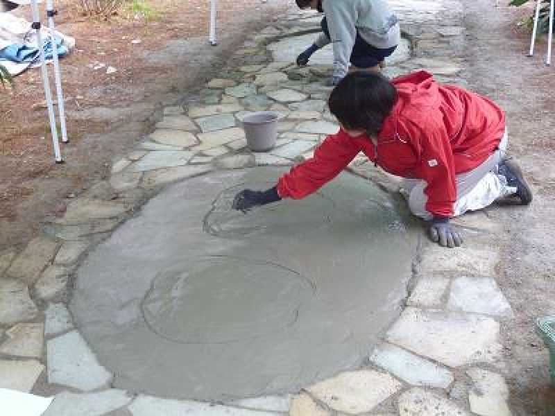 清水小学校ビオトープ１日目