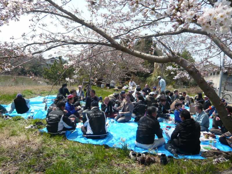 釜谷池花見会