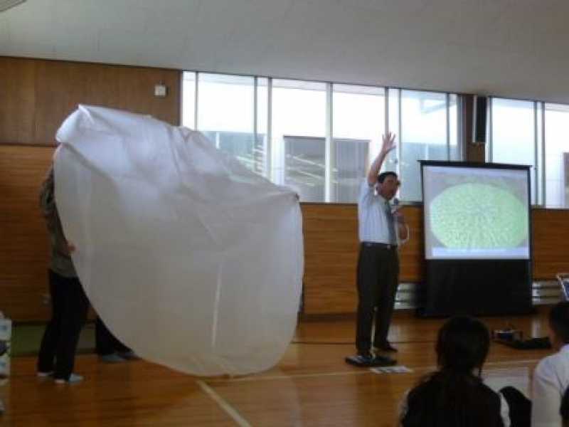 江井ヶ島中学校　環境学習　オニバスについて
