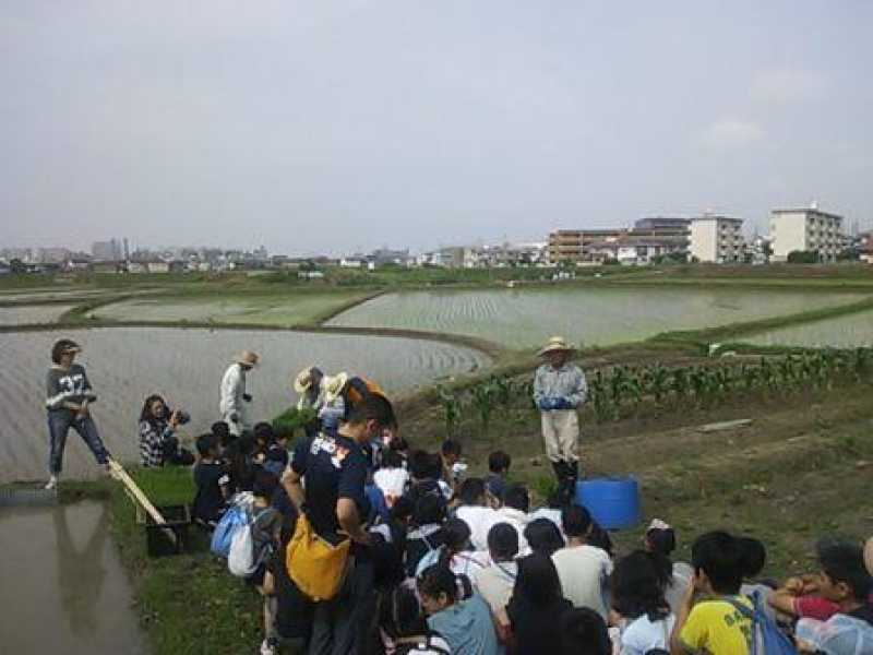 高丘東小学校　田植え体験授業