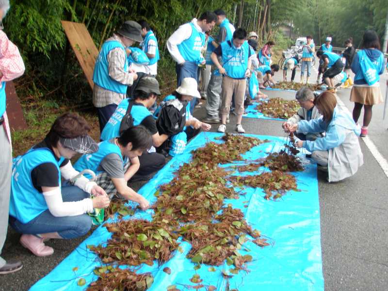 第６回ながむろジュンサイ祭り