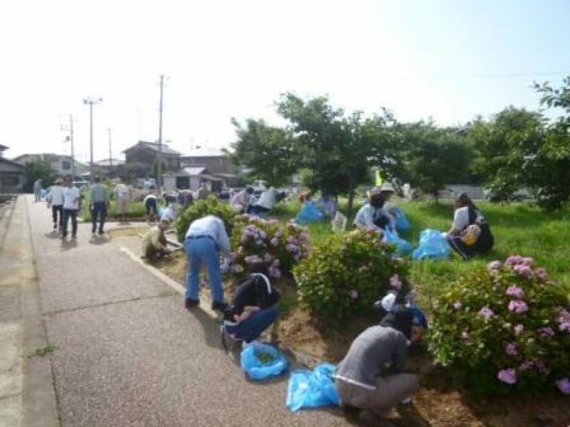 播磨町北池クリーンキャンペーン