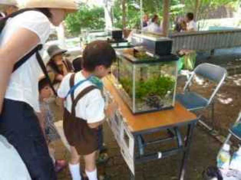 夏のつどい(いなみ野学園)