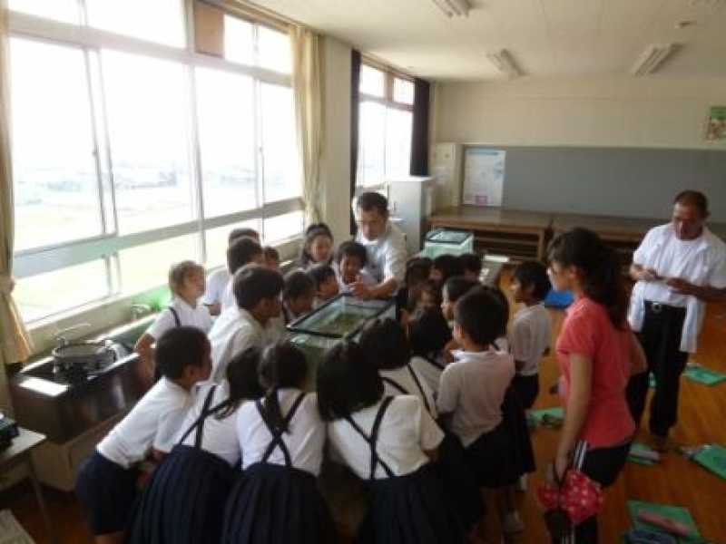 天満東小学校　環境学習