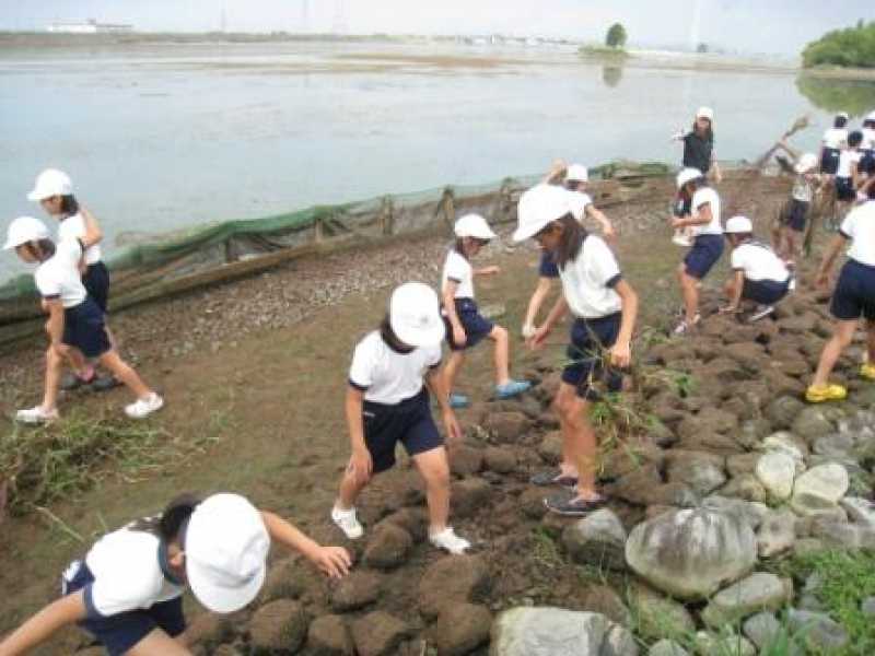 天満東小学校　稲美町自然たんけんたい