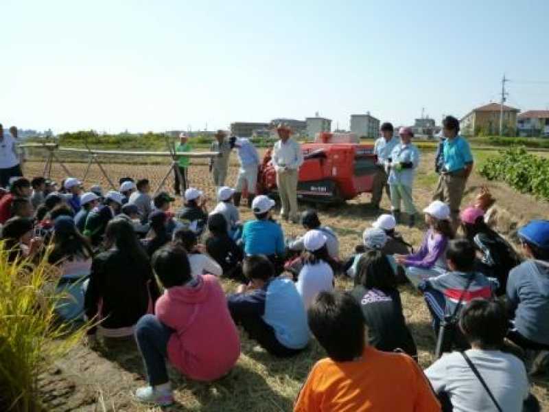 高丘東小学校　稲刈り