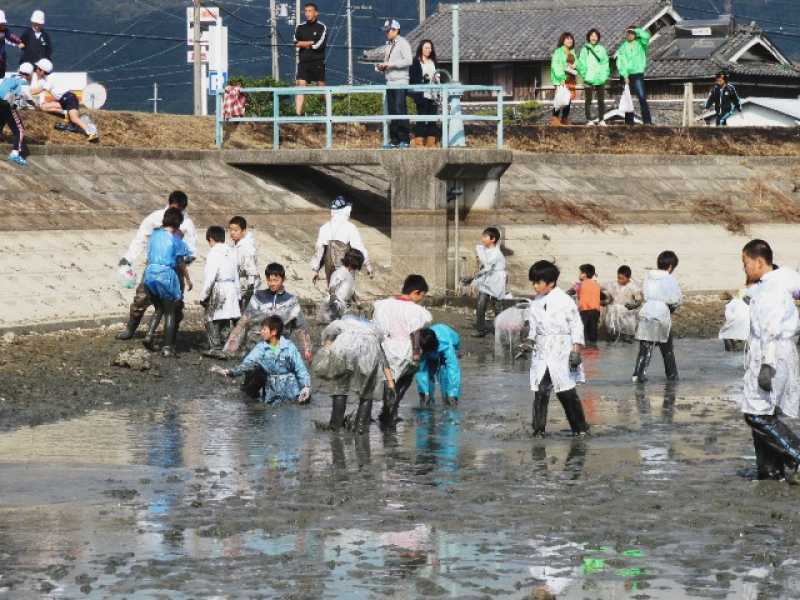 幡水池（蓮池）かいぼり