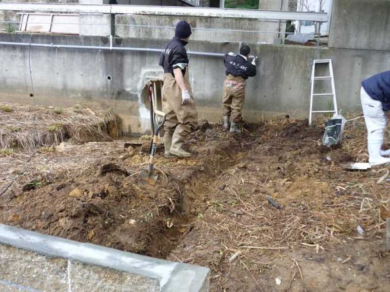 ドブ貝養殖 水質浄化作戦 いなみ野ため池ミュージアム