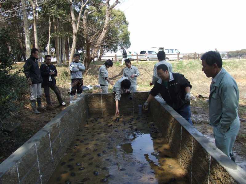 ドブ貝養殖＆水質浄化作戦！！
