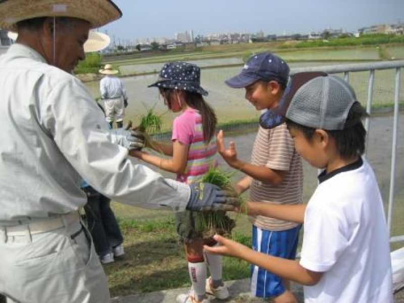 高丘東小学校　田植え体験授業