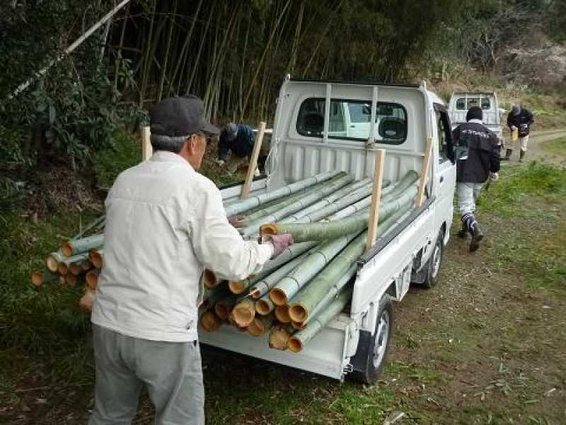 竹伐採作業―バンブープロジェクト