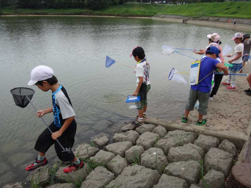 高丘東小学校環境学習