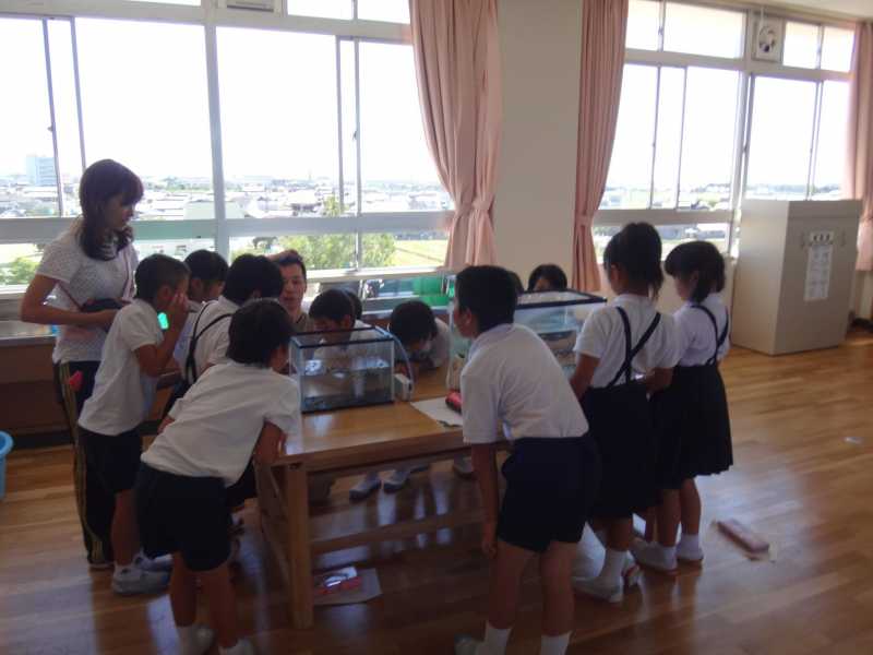 天満東小学校疏水学習・環境体験学習