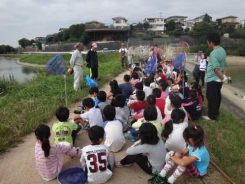 高丘東小学校　かいぼり