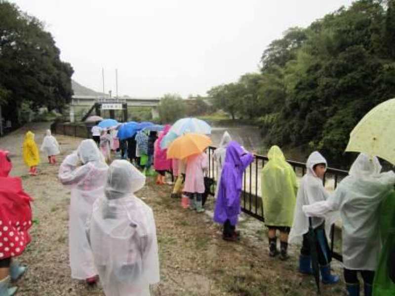 岩岡小学校　疏水見学