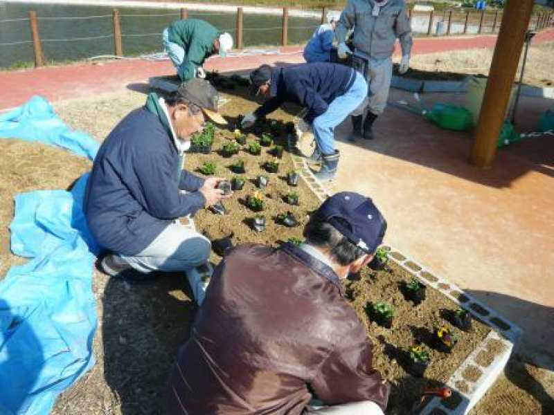 惣毛池植栽