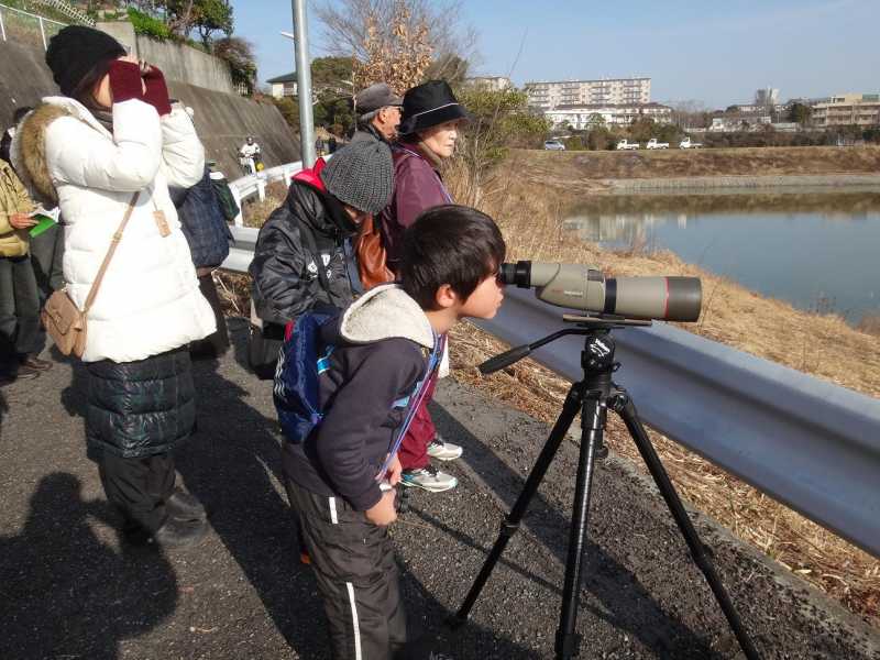 釜谷池野鳥観察会