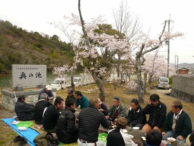 成井ため池協議会　観桜会