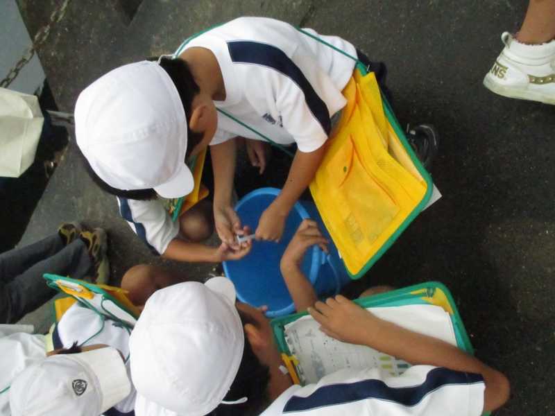 播磨南小学校　水のめぐみ新井ツアー