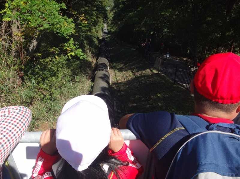 岩岡小学校　淡山疏水現地見学会