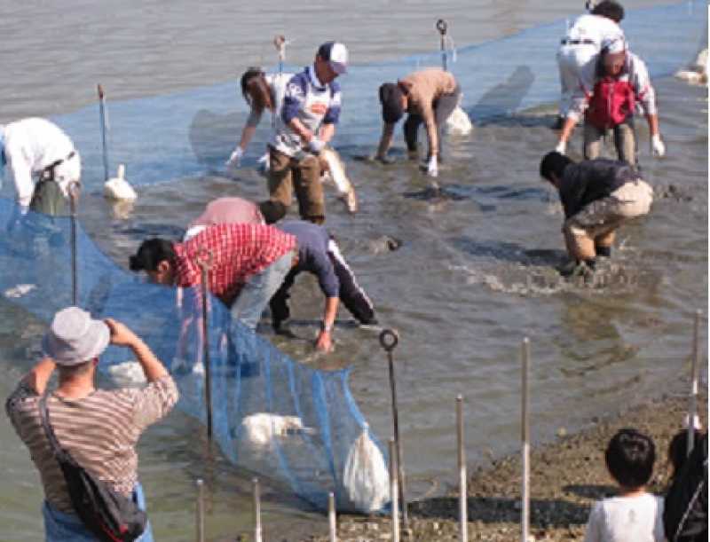 北池魚のつかみどり大会