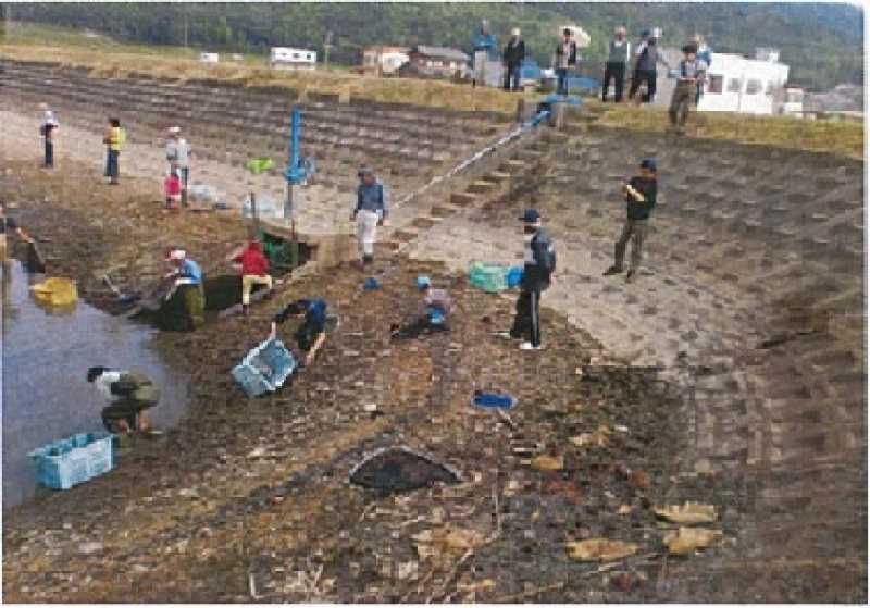 辻堂池かいぼり