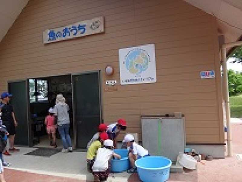 北浜小学校　環境学習