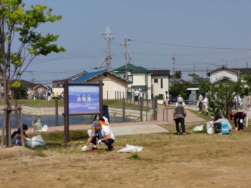 白助池クリーンキャンペーン