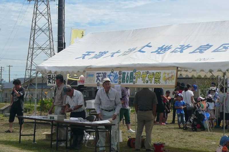 天満大池　アサザ祭り