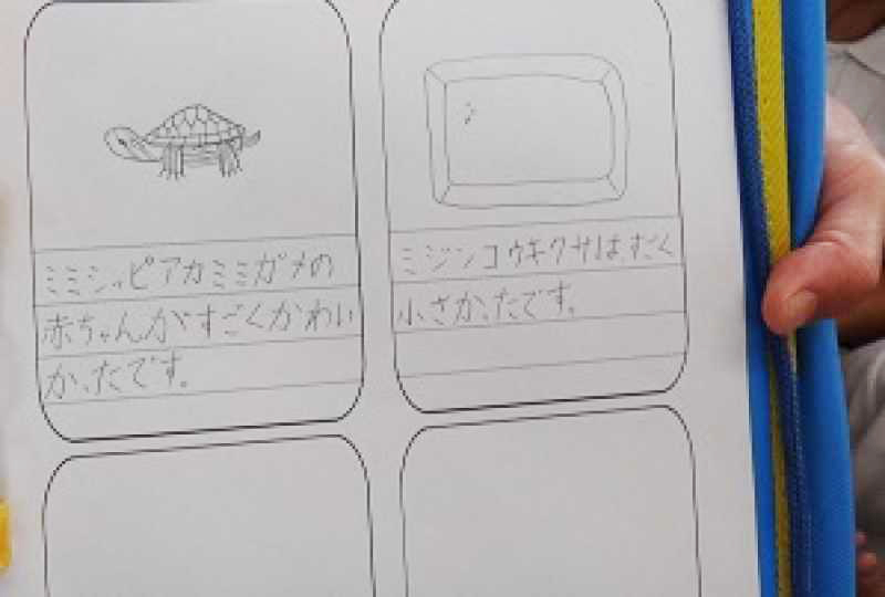天満東小学校　ため池学習