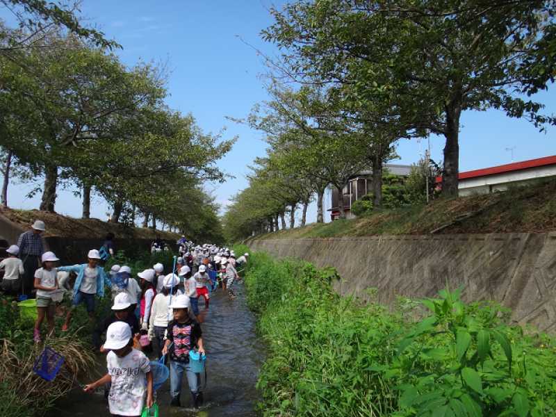 天満小学校　ため池学習