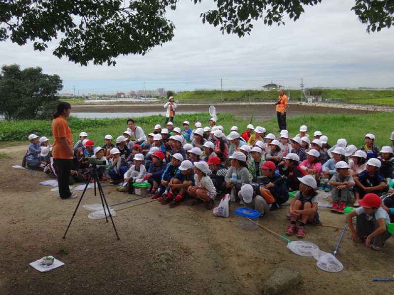 沢池小学校　ため池学習