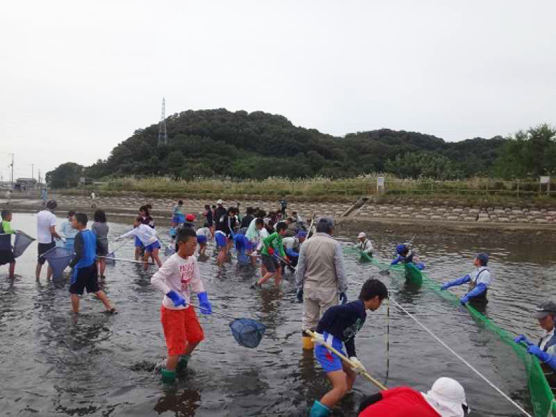 北浜小学校　かいぼり体験