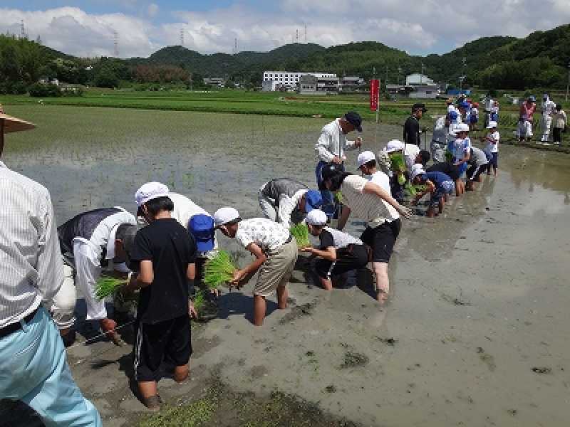 北浜小学校　ふるさと学習