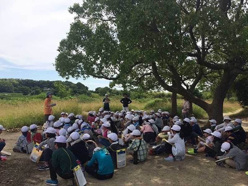 沢池小学校　環境学習