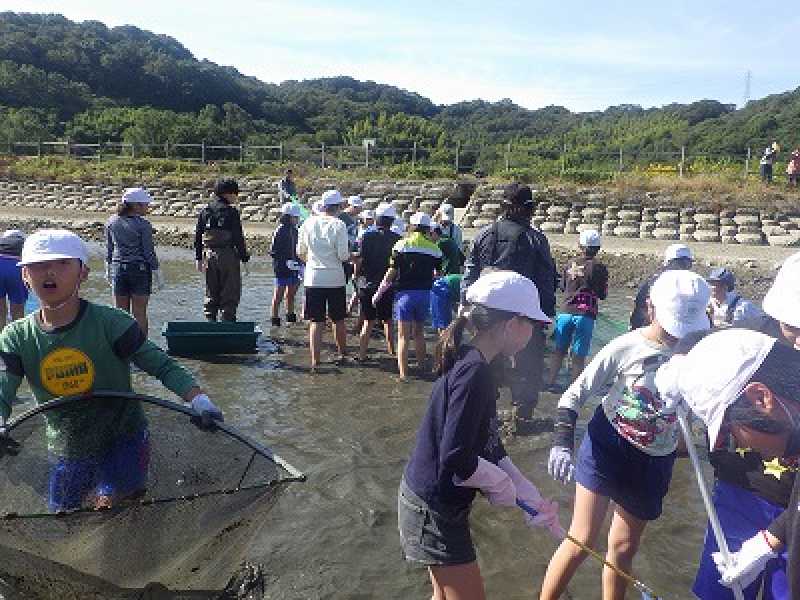 北浜小学校ため池学習