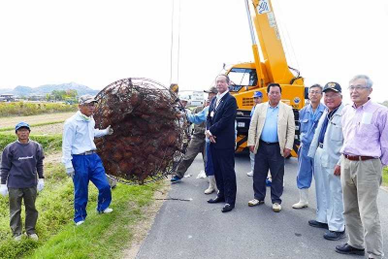 高砂市阿弥陀町にコウノトリの巣塔が立てられました