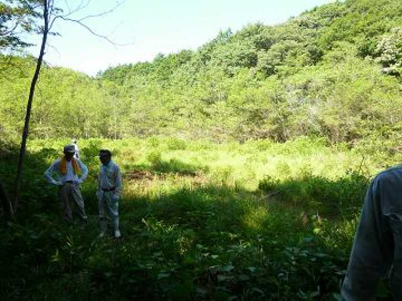 永室・蛇ヶ池湿地調査保全活動