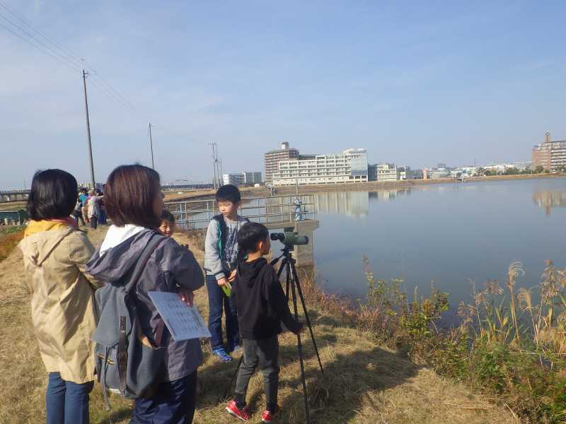 江井ヶ島皿池　野鳥観察会（『ため池博覧会2018』㉔）