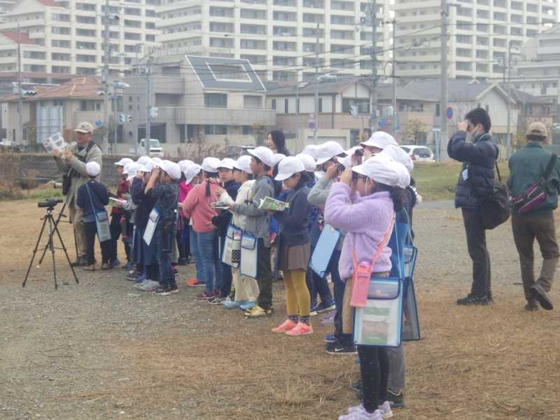 大久保小学校がため池で環境学習！野鳥を観察しました