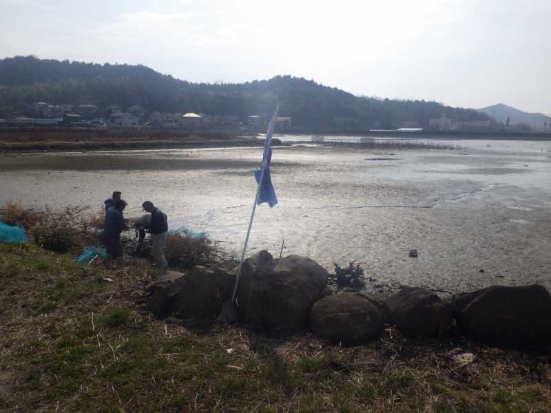 ため池で魚のすみかづくり