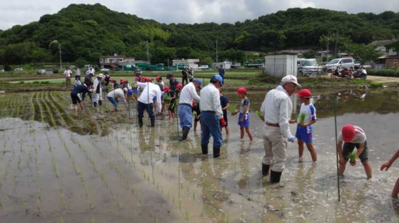 北浜小学校　ふるさと学習