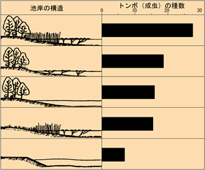 池岸帯の植生と出現するトンボ(成虫)の種数