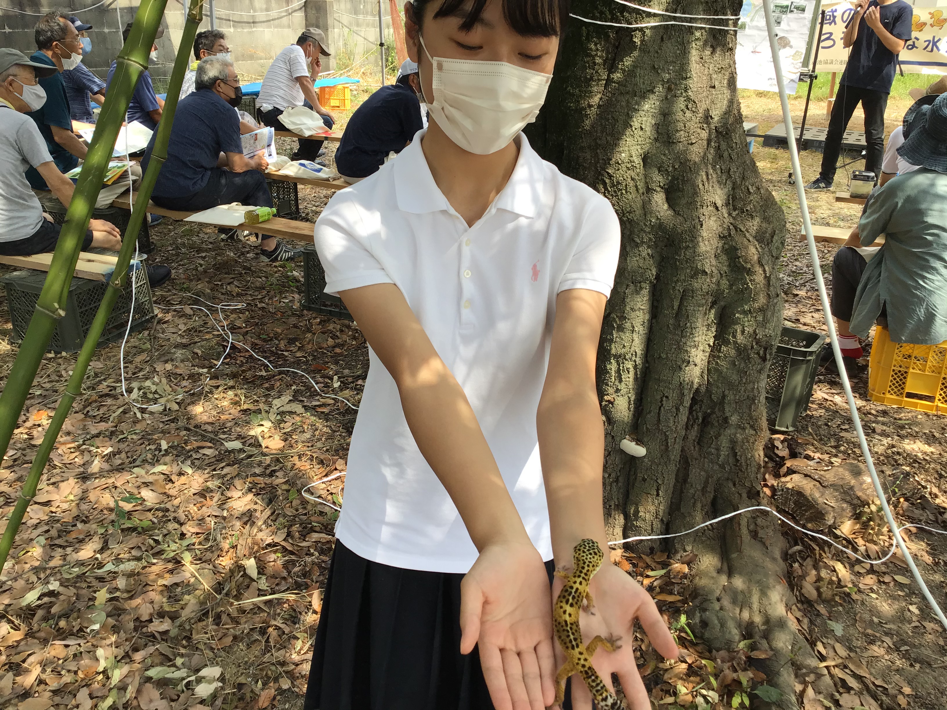 大変だ‼　大きなトカゲが女生徒に・・・生き物研究発表会―大日池今昔物語Ⅲ