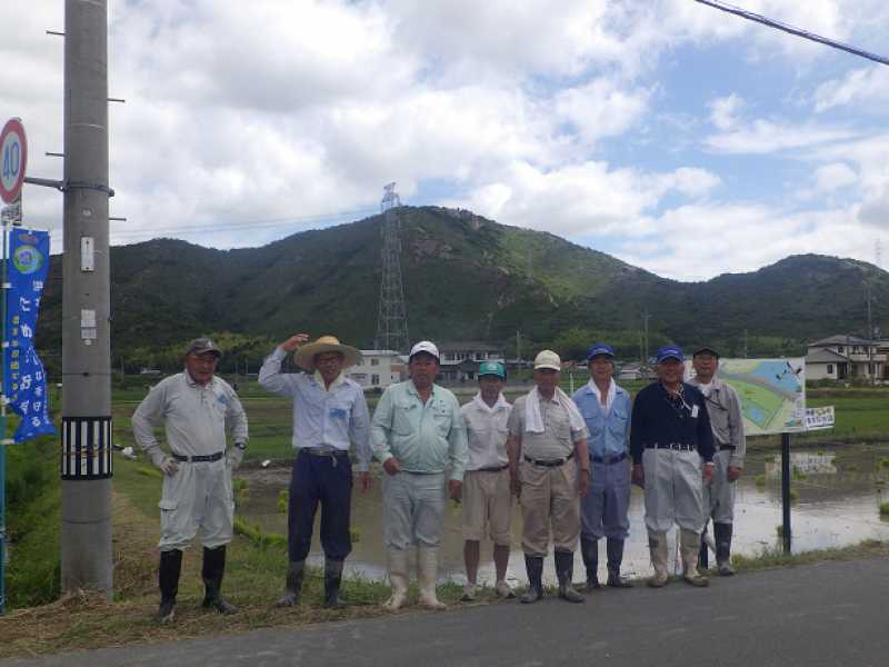 田んぼビオトープ田植え体験