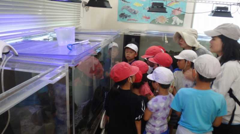 北浜小いなみ野水族園ツアー